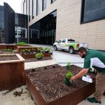 Pharmacy Building Medicinal Garden